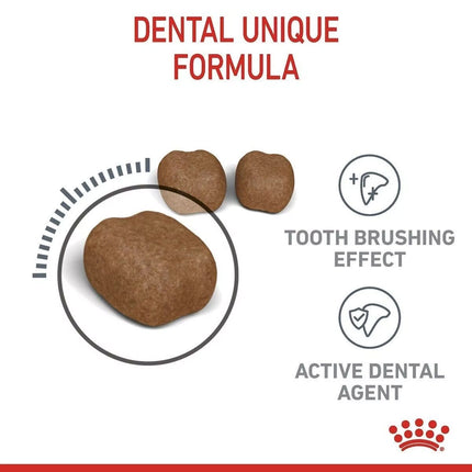 Royal Canin Dental Care Adult Dry Cat Food 400g or 1500g or 3500g