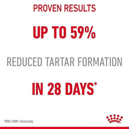 Royal Canin Dental Care Adult Dry Cat Food 400g or 1500g or 3500g