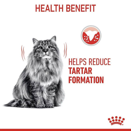 Royal Canin Dental Care Adult Dry Cat Food 400g or 1500g or 3500g