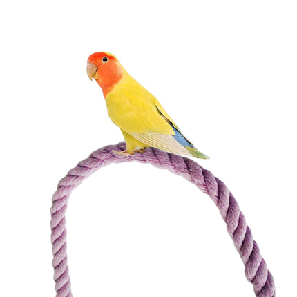 Bendable Cotton Rope Parrot Perch Bird Climbing Stand Toy Purple 3 Sizes