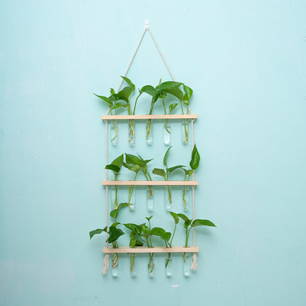 Wall Mounted Hydroponic Test Tube for Home Office Indoor Garden Decorative Vase