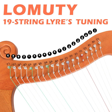 19 String Lyre Harp Professional Acoustic for Beginners Home Music Practice