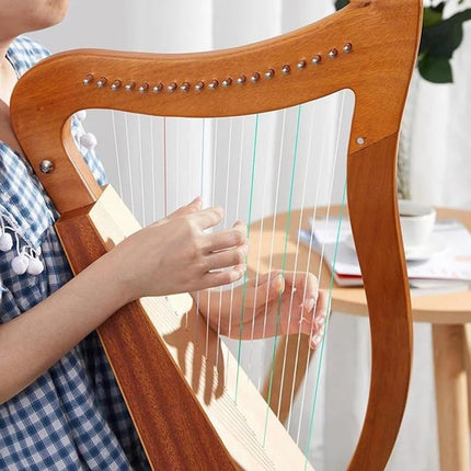 19 String Lyre Harp Professional Acoustic for Beginners Home Music Practice