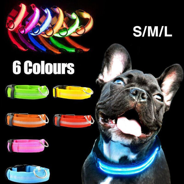 S Size USB Rechargeable LED Dog Collar Nylon Glow Flashing Light Up Safety Pet Collars - Aimall
