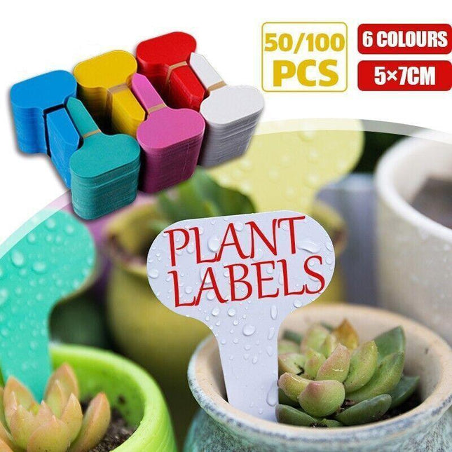 T Plant Labels 50-100Pcs 6 Colours Garden Stakes Markers Tags Nursery Seedling - Aimall