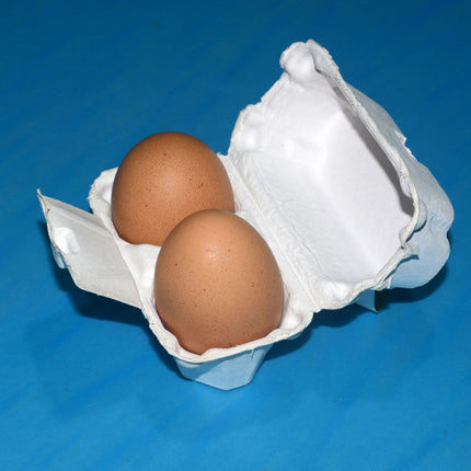 300PCS Paper Egg Tray 2 Slot Molded Pulp Leak-Proof for Egg Packaging Use