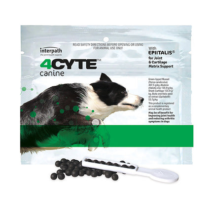 4CYTE DOG GRANULES 100G