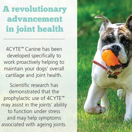 4CYTE DOG GRANULES 100G