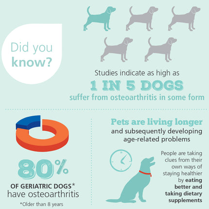 4CYTE DOG GRANULES 100G