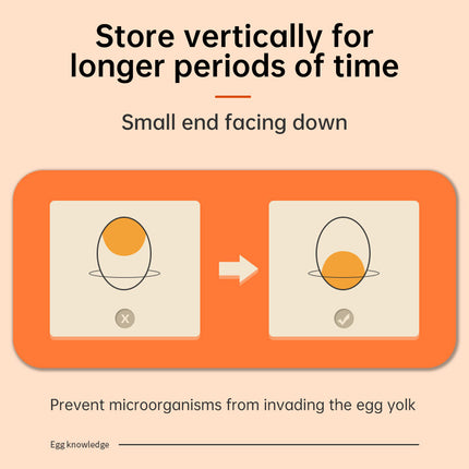 Kitchen Egg Double Layer Storage Box for Food Organization Fresh Keeping