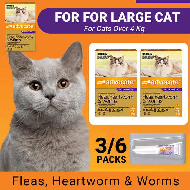 Advocate Cat Over 4kg Large Cats Protecting the Health of Cats 3 / 6 Packs Use