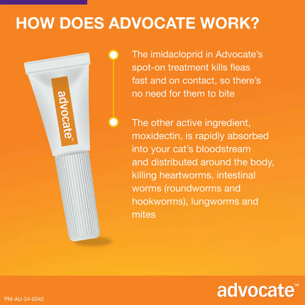 Advocate Cat Over 4kg Large Cats Protecting the Health of Cats 3 / 6 Packs Use