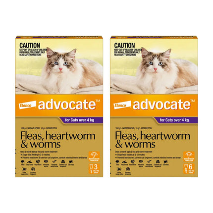 Advocate Cat Over 4kg Large Cats Protecting the Health of Cats 3 / 6 Packs Use