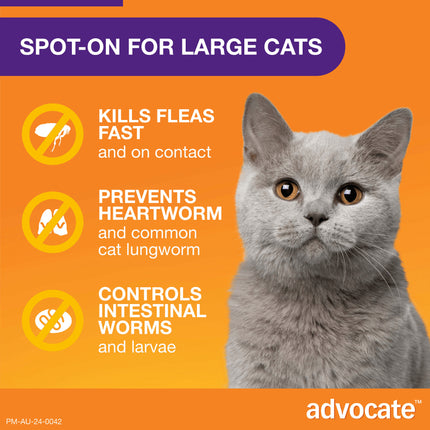 Advocate Cat Over 4kg Large Cats Protecting the Health of Cats 3 / 6 Packs Use