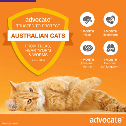 Advocate Cat Over 4kg Large Cats Protecting the Health of Cats 3 / 6 Packs Use