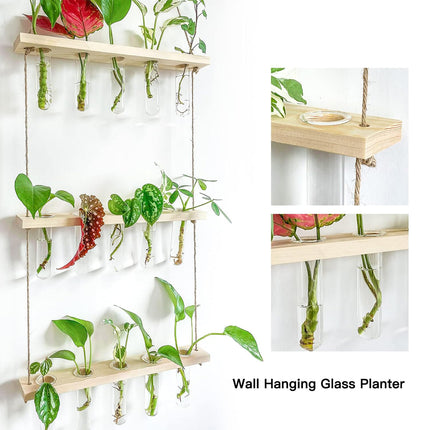 Wall Mounted Hydroponic Test Tube for Home Office Indoor Garden Decorative Vase