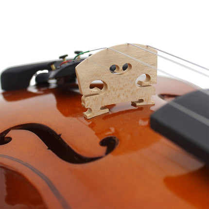 Beginner Violin 4/4 Full Size Linden Wood Complete Music Learning Set with Bow and Case