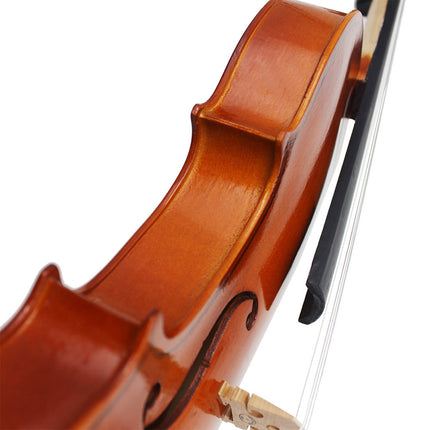 Beginner Violin 4/4 Full Size Linden Wood Complete Music Learning Set with Bow and Case