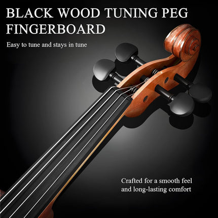 Beginner Violin 4/4 Full Size Linden Wood Complete Music Learning Set with Bow and Case