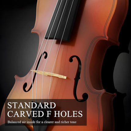 Beginner Violin 4/4 Full Size Linden Wood Complete Music Learning Set with Bow and Case