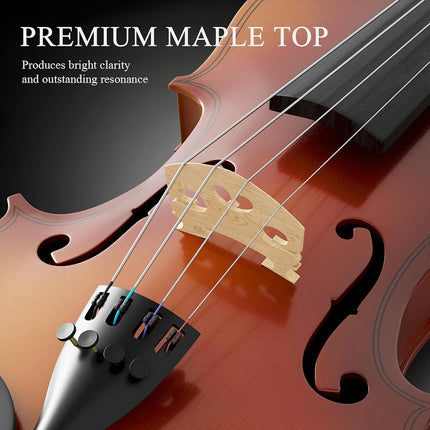 Beginner Violin 4/4 Full Size Linden Wood Complete Music Learning Set with Bow and Case