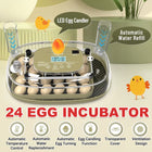 24 Egg Small Home Chicken Incubator Digital Automatic for Poultry Hatching