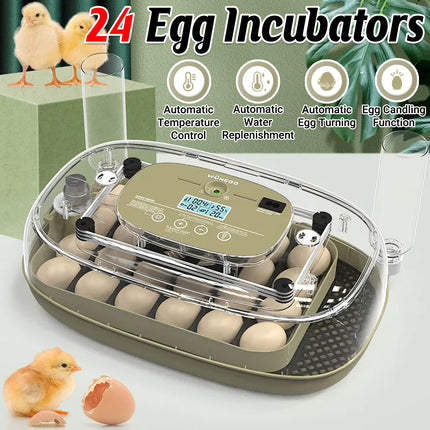 24 Egg Small Home Chicken Incubator Digital Automatic for Poultry Hatching