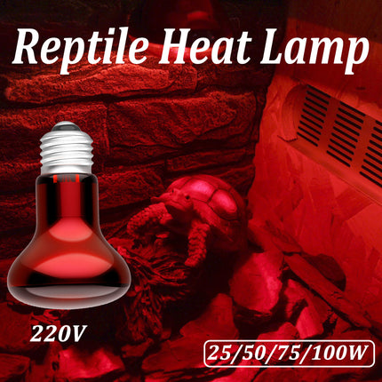 Reptile Heat Lamp Bulb 25W 50W 75W 100W 220–240V E27 Red Heat Light for Terrarium