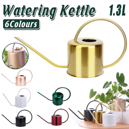 Large Capacity Metal Watering Kettle Retro Garden Spray Pot with Long Spout