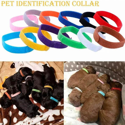 12 Colours Collar Bands Pet Puppy Kitten Identification Collar Tags - Aimall