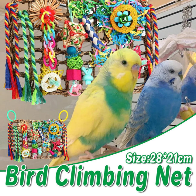 Bird Parrot Cage Toy Colourful Rattan Balls Puzzle Net Bird Supplies Accessories