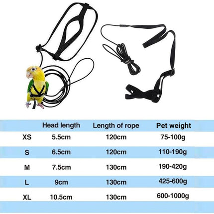 XL Pet Parrot Bird Harness Lead Leash Flying Training Rope Cockatiel Outdoor