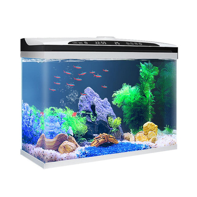 Intelligent Desktop Fish Tank Small Aquarium for Living Room Household Use