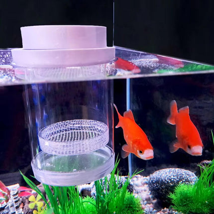 Floating Fish Breeding Hatchery Isolation Box for Fry and Shrimp in Aquarium