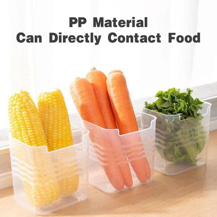 Refrigerator Side Door Storage Box Storage Rack Food Grade Kitchen Scallion
