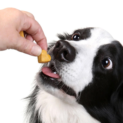 Mimi and Munch Woofbutter Bakes Dog Treats 180G