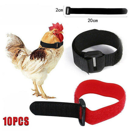 10Pcs Anti-Crow Collars for Roosters: Quiet Nylon Neck Belts - Aimall