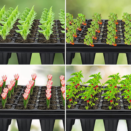 10x 72 Hole Plant Seed Grow Box Seedling Starter Tray for Plant Propagation