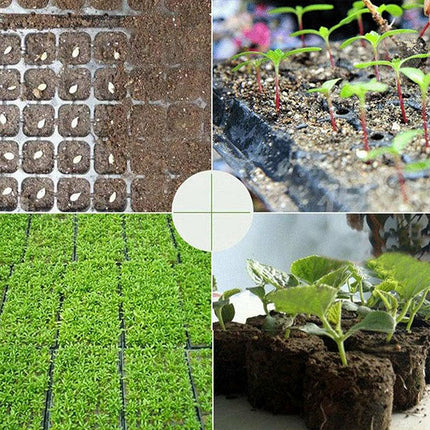 10x 72 Hole Plant Seed Grow Box Seedling Starter Tray for Plant Propagation