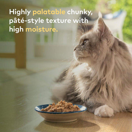 ZIWI Peak Cat Can Beef  Best Wet Cat Food Australia  85g or 185g