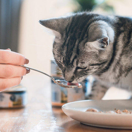 ZIWI Peak Cat Can Beef  Best Wet Cat Food Australia  85g or 185g