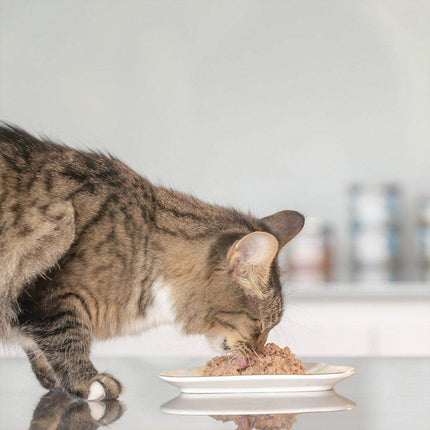 ZIWI Peak Cat Can Beef  Best Wet Cat Food Australia  85g or 185g