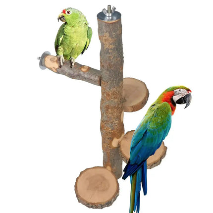 Parrot Stand Squirrel Training Swing Pet Stand Toy Small Pet Exercise Play