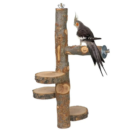 Parrot Stand Squirrel Training Swing Pet Stand Toy Small Pet Exercise Play