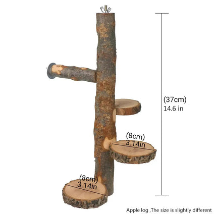 Parrot Stand Squirrel Training Swing Pet Stand Toy Small Pet Exercise Play