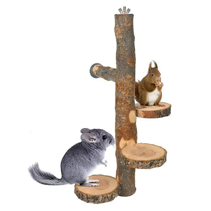 Parrot Stand Squirrel Training Swing Pet Stand Toy Small Pet Exercise Play