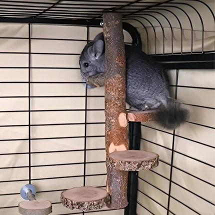 Parrot Stand Squirrel Training Swing Pet Stand Toy Small Pet Exercise Play