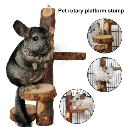 Parrot Stand Squirrel Training Swing Pet Stand Toy Small Pet Exercise Play