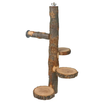 Parrot Stand Squirrel Training Swing Pet Stand Toy Small Pet Exercise Play