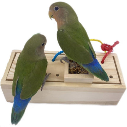 Parrot Foraging Toy Puzzle Training Chewing Toy Pine Wood Sturdy Durable